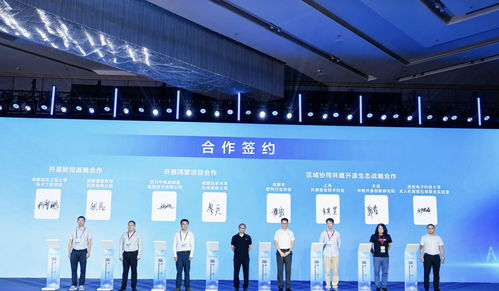 85條供需信息集中發(fā)布，成都開源生態(tài)建設(shè)大會引領(lǐng)軟件技術(shù)推廣新浪潮