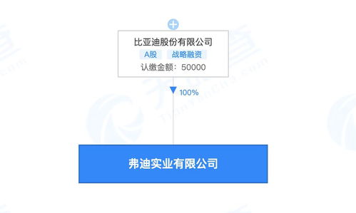 比亞迪成立弗迪實業(yè)，布局人工智能軟件與基礎開發(fā)